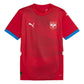 Maillot Serbie Domicile Euro 2024