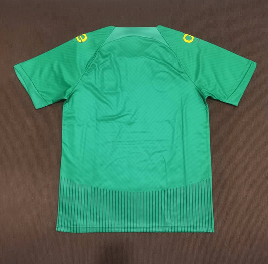 2023/2024 Cameroon National Team Home Shirt