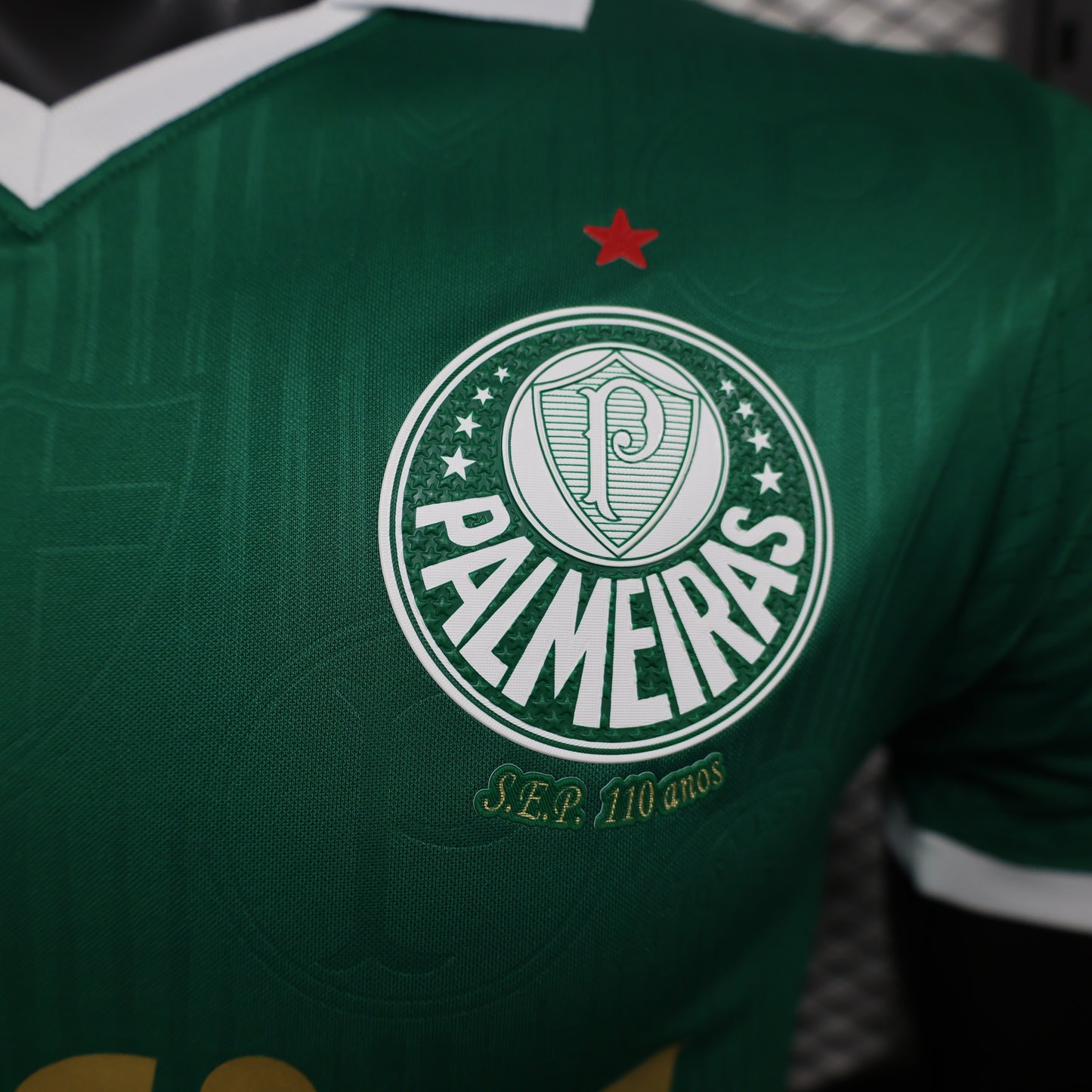 24-25 Palmeiras home player version jersey