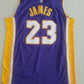 Men's Los Angeles Lakers LeBron James NBA #23 Purple Swingman Jersey - City Edition
