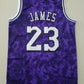 Men's Los Angeles Lakers LeBron James #23 Purple Galaxy Swingman Jersey