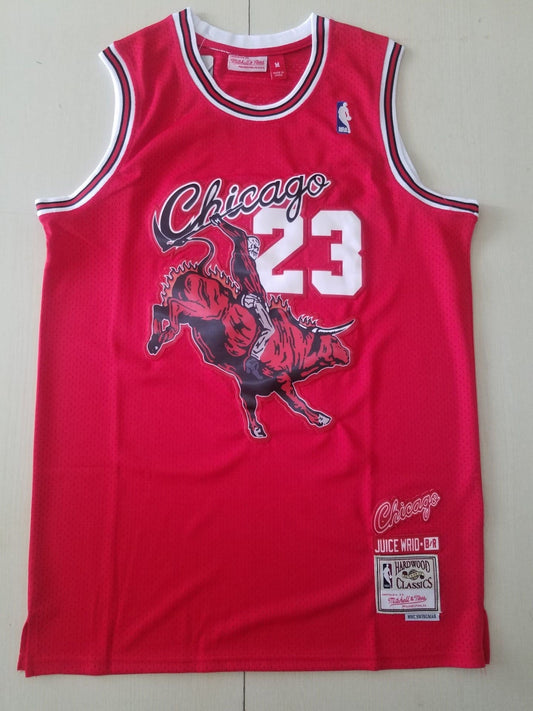 Men's Chicago Bulls Michael Jordan #23 NBA Red Hardwood Classics Authentic Jersey