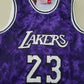 Men's Los Angeles Lakers LeBron James #23 Purple Galaxy Swingman Jersey