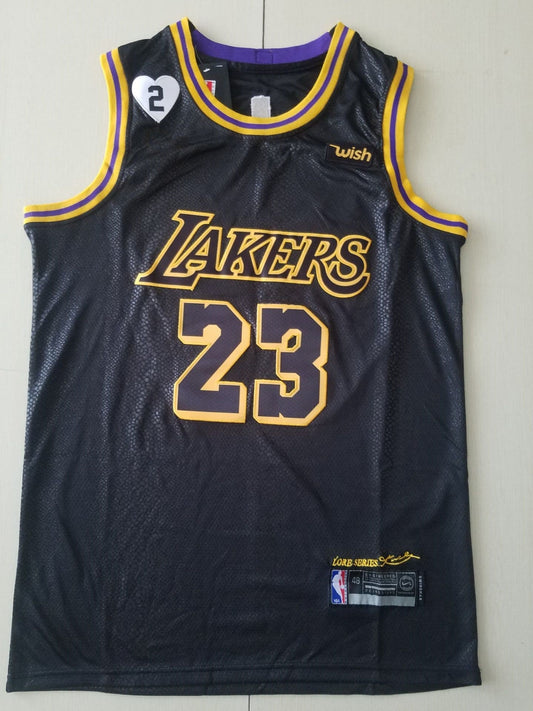 Men's Los Angeles Lakers Lebron James #23 Final Path Jersey Stitched