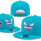 Charlotte Hornets  hat