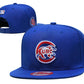Chicago Cubs hat