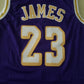 Men's Los Angeles Lakers LeBron James Purple Hardwood Classics Swingman Jersey