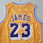 Herren Los Angeles Lakers LeBron James #23 NBA Orange Swingman-Trikot