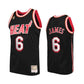 LeBron James Heat Jersey